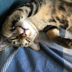 Meet your Posher, Cynthia